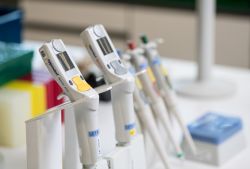 Hook up with our international ambition