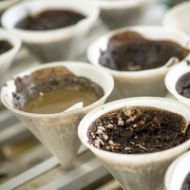 Hook up with our international ambition