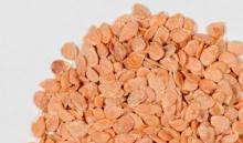 PCR-test for ToBRFV in seeds